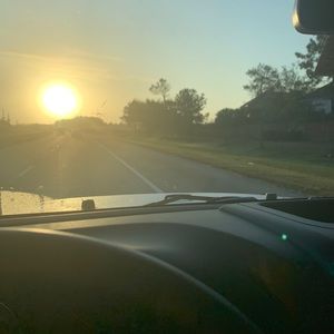 Meet your Posher, Rose